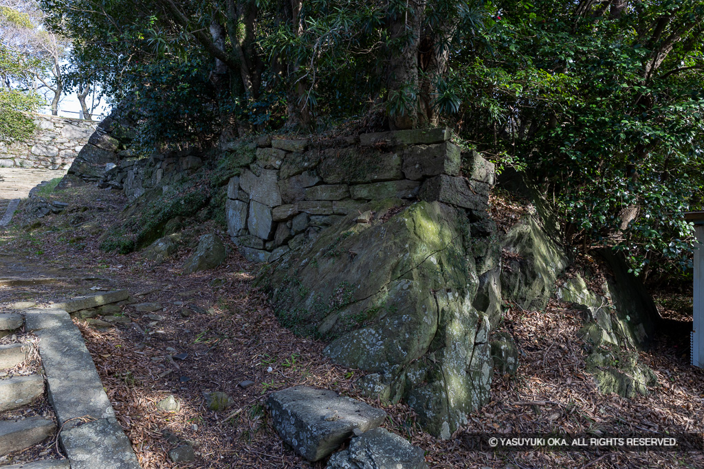 西二の丸・岩盤と石垣