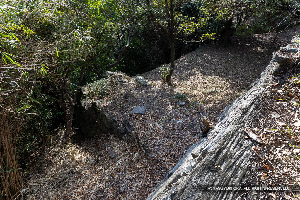 西二の丸虎口の仕切