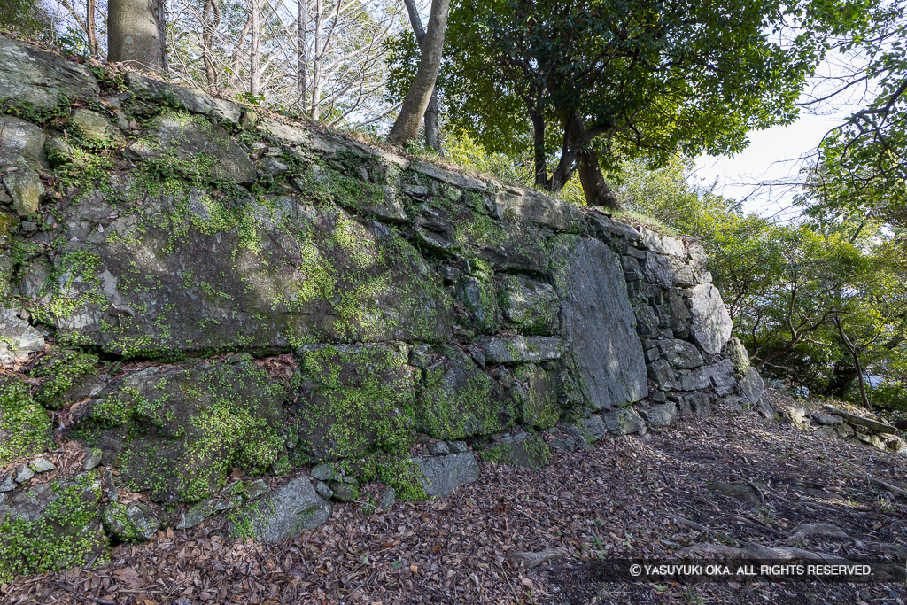 西二の丸虎口の鏡石