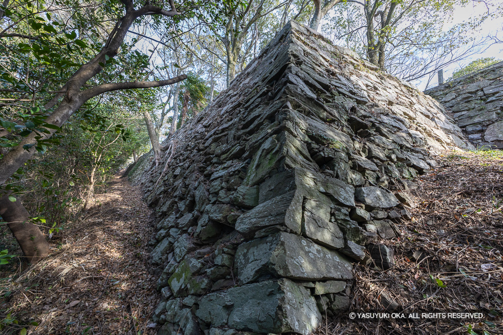 西二の丸石垣北側