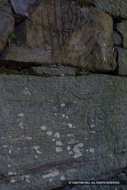 石垣刻印 | 高解像度画像サイズ:1440 x 2160 pixels | 写真番号:183-8337_IMG | 撮影:Canon EOS D30