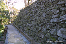 本丸北側石垣 | 高解像度画像サイズ：1440 x 960 pixels | 写真番号：183-8363_IMG | 撮影：Canon EOS D30