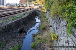 舌石・寺島川・内堀跡 | 高解像度画像サイズ：6534 x 4358 pixels | 写真番号：6F1A1392 | 撮影：Canon EOS R5m2