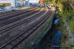 寺島川・内堀跡 | 高解像度画像サイズ：7401 x 4937 pixels | 写真番号：6F1A1395 | 撮影：Canon EOS R5m2
