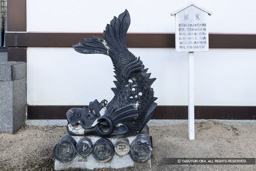 鯱 | 高解像度画像サイズ：7165 x 4779 pixels | 写真番号：6F1A1417 | 撮影：Canon EOS R5m2