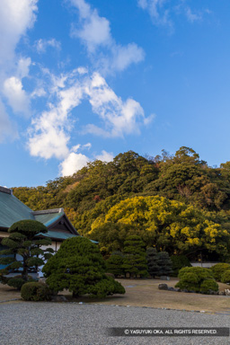 旧徳島城表御殿庭園から見る城山 | 高解像度画像サイズ：5370 x 8050 pixels | 写真番号：6F1A1424 | 撮影：Canon EOS R5m2
