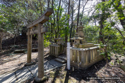 蜂須賀正勝の墓・徳島藩主蜂須賀家墓所 | 高解像度画像サイズ：7603 x 5071 pixels | 写真番号：6F1A3930 | 撮影：Canon EOS R5m2