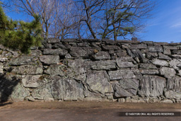 大手枡形鏡石 | 高解像度画像サイズ:8121 x 5417 pixels | 写真番号:6F1A3949 | 撮影:Canon EOS R5m2