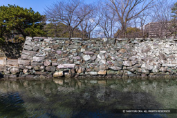 大手石垣・ディテール・工人の遊び心 | 高解像度画像サイズ：8192 x 5464 pixels | 写真番号：6F1A3960 | 撮影：Canon EOS R5m2