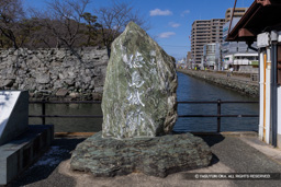 国史跡 徳島城跡石碑 | 高解像度画像サイズ：7911 x 5277 pixels | 写真番号：6F1A3964 | 撮影：Canon EOS R5m2