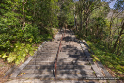 城山への登山道 | 高解像度画像サイズ:7781 x 5190 pixels | 写真番号:6F1A4020 | 撮影:Canon EOS R5m2