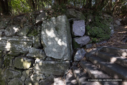 縦石 | 高解像度画像サイズ:8192 x 5464 pixels | 写真番号:6F1A4025 | 撮影:Canon EOS R5m2