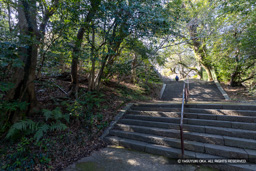 本丸への登山道 | 高解像度画像サイズ:8192 x 5464 pixels | 写真番号:6F1A4036 | 撮影:Canon EOS R5m2