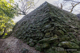 徳島城本丸東南隅石垣 | 高解像度画像サイズ：8192 x 5464 pixels | 写真番号：6F1A4037 | 撮影：Canon EOS R5m2