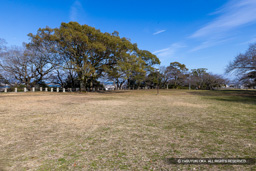 本丸跡 | 高解像度画像サイズ:8192 x 5464 pixels | 写真番号:6F1A4072 | 撮影:Canon EOS R5m2