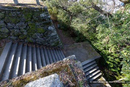 本丸埋門跡 | 高解像度画像サイズ:8192 x 5464 pixels | 写真番号:6F1A4078 | 撮影:Canon EOS R5m2