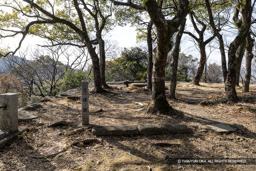 弓櫓跡 | 高解像度画像サイズ:8192 x 5464 pixels | 写真番号:6F1A4085 | 撮影:Canon EOS R5m2