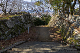 本丸虎口 | 高解像度画像サイズ:8192 x 5464 pixels | 写真番号:6F1A4086 | 撮影:Canon EOS R5m2