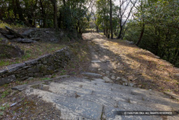 | 高解像度画像サイズ:8192 x 5464 pixels | 写真番号:6F1A4099 | 撮影:Canon EOS R5m2