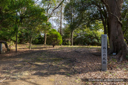 西二の丸跡 | 高解像度画像サイズ:8192 x 5464 pixels | 写真番号:6F1A4110 | 撮影:Canon EOS R5m2