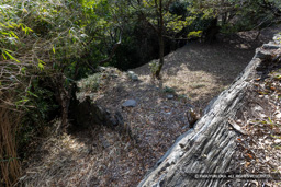 西二の丸虎口の仕切 | 高解像度画像サイズ:8192 x 5464 pixels | 写真番号:6F1A4116 | 撮影:Canon EOS R5m2