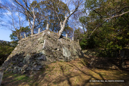西二の丸虎口・帳櫓跡 | 高解像度画像サイズ：8192 x 5464 pixels | 写真番号：6F1A4131 | 撮影：Canon EOS R5m2
