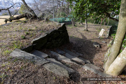西三の丸虎口 | 高解像度画像サイズ:8192 x 5464 pixels | 写真番号:6F1A4147 | 撮影:Canon EOS R5m2