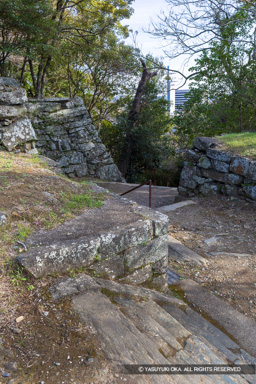  | 高解像度画像サイズ：5247 x 7867 pixels | 写真番号：6F1A4159 | 撮影：Canon EOS R5m2