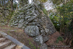 西三の丸石垣 | 高解像度画像サイズ：8192 x 5464 pixels | 写真番号：6F1A4166 | 撮影：Canon EOS R5m2