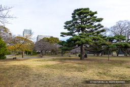 御殿跡 | 高解像度画像サイズ：8192 x 5464 pixels | 写真番号：6F1A4186 | 撮影：Canon EOS R5m2