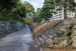 内側塁壁 | 高解像度画像サイズ：7778 x 5188 pixels | 写真番号：6F1A4189 | 撮影：Canon EOS R5m2