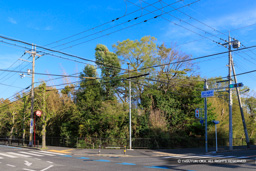 富松城全景 | 高解像度画像サイズ：7504 x 5005 pixels | 写真番号：6F1A4965 | 撮影：Canon EOS R5m2