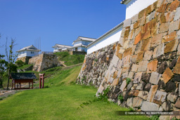 二の丸帯曲輪から本丸 | 高解像度画像サイズ：4992 x 3328 pixels | 写真番号：VJ7Z1852 | 撮影：Canon EOS-1Ds Mark II