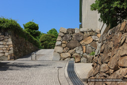 鞆城主郭石垣 | 高解像度画像サイズ：5526 x 3684 pixels | 写真番号：1P3J5161 | 撮影：Canon EOS-1Ds Mark III