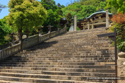 沼名前神社 | 高解像度画像サイズ：5157 x 3438 pixels | 写真番号：1P3J5193 | 撮影：Canon EOS-1Ds Mark III