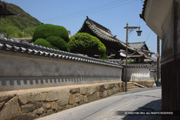 阿弥陀寺土塀の鞆城石垣石 | 高解像度画像サイズ：5616 x 3744 pixels | 写真番号：1P3J5202 | 撮影：Canon EOS-1Ds Mark III