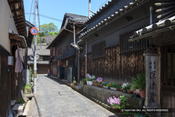 鞆の浦の風景・重要伝統的建造物群保存地区 | 高解像度画像サイズ：5616 x 3744 pixels | 写真番号：1P3J5265 | 撮影：Canon EOS-1Ds Mark III