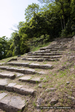 久松山登山道 | 高解像度画像サイズ:3744 x 5616 pixels | 写真番号:1P3J4381 | 撮影:Canon EOS-1Ds Mark III