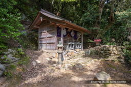 中坂神社 | 高解像度画像サイズ：5616 x 3744 pixels | 写真番号：1P3J4390 | 撮影：Canon EOS-1Ds Mark III