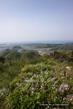 天守台から千代川・日本海を望む | 高解像度画像サイズ:3744 x 5616 pixels | 写真番号:1P3J4441 | 撮影:Canon EOS-1Ds Mark III