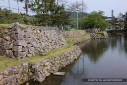 中ノ御門脇石垣と兵庫櫓跡(2011年) | 高解像度画像サイズ:5616 x 3744 pixels | 写真番号:1P3J4523 | 撮影:Canon EOS-1Ds Mark III