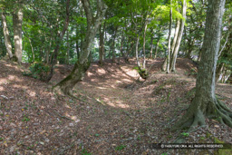 太閤ヶ平・北東部 | 高解像度画像サイズ：8192 x 5464 pixels | 写真番号：6F1A8137 | 撮影：Canon EOS R5m2