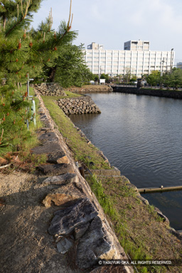 石垣の犬走り | 高解像度画像サイズ：5464 x 8192 pixels | 写真番号：6F1A8294 | 撮影：Canon EOS R5m2