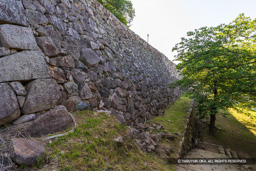 二の丸石垣 | 高解像度画像サイズ：8192 x 5464 pixels | 写真番号：6F1A8417 | 撮影：Canon EOS R5m2