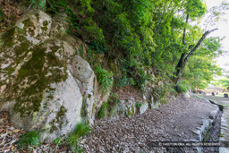 石切場（石丁場） | 高解像度画像サイズ：8192 x 5464 pixels | 写真番号：6F1A8429 | 撮影：Canon EOS R5m2