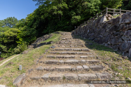久松山登山道(中坂) | 高解像度画像サイズ:8192 x 5464 pixels | 写真番号:6F1A8483 | 撮影:Canon EOS R5m2