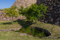 水溜 | 高解像度画像サイズ：8192 x 5464 pixels | 写真番号：6F1A8508 | 撮影：Canon EOS R5m2
