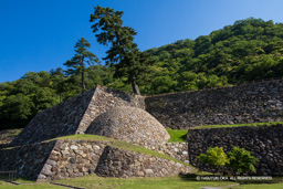 天球丸の巻石垣 | 高解像度画像サイズ：8192 x 5464 pixels | 写真番号：6F1A8510 | 撮影：Canon EOS R5m2