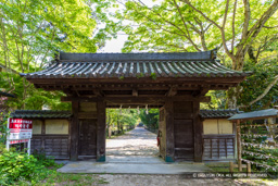 鳥取東照宮神門・移築武家屋敷門 | 高解像度画像サイズ:7903 x 5271 pixels | 写真番号:6F1A8651 | 撮影:Canon EOS R5m2