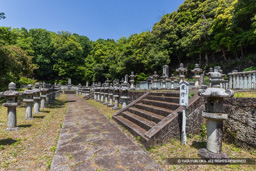 鳥取藩池田家墓所 | 高解像度画像サイズ：7644 x 5099 pixels | 写真番号：6F1A8723 | 撮影：Canon EOS R5m2